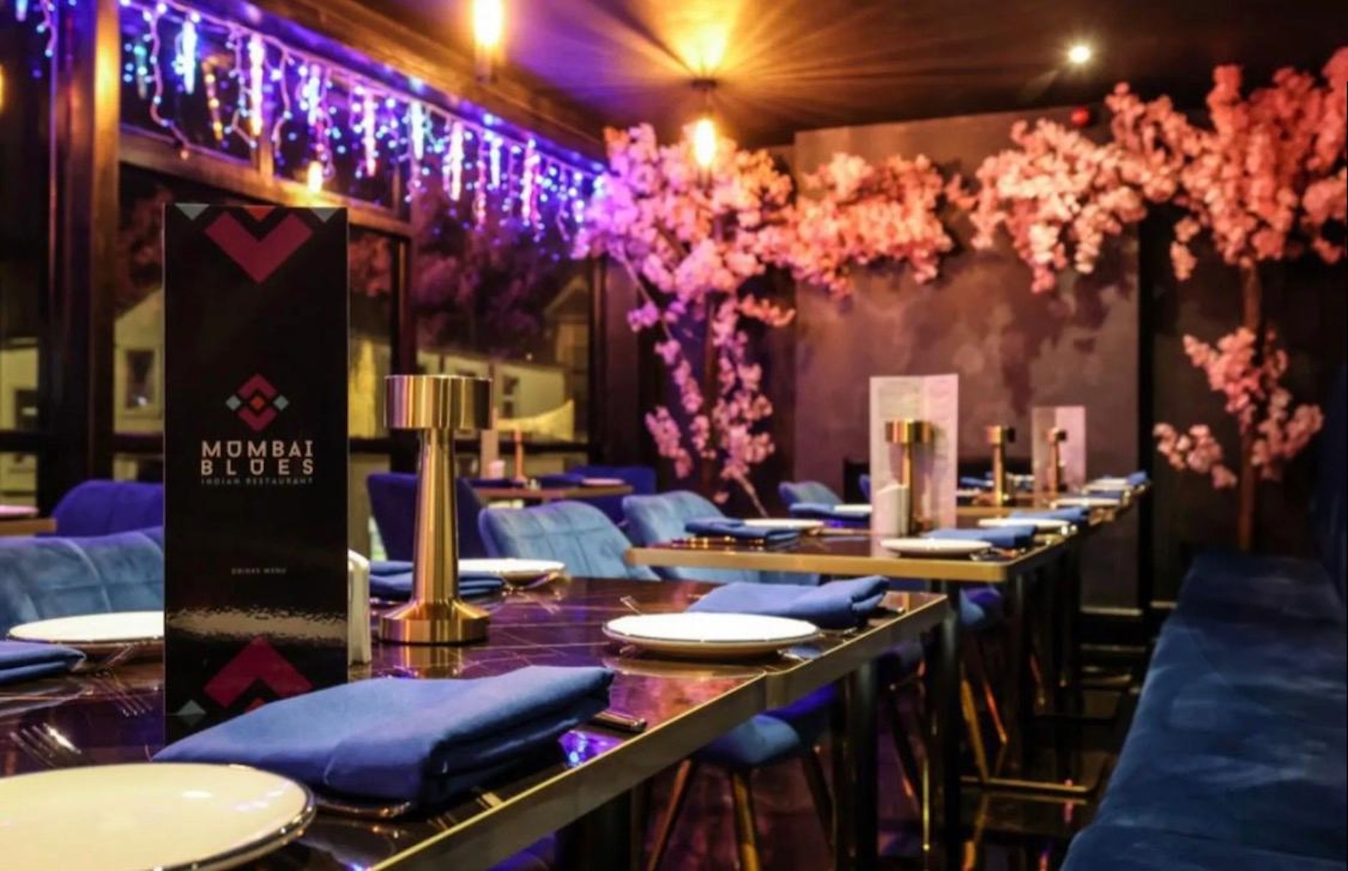 Authentic Indian Spread